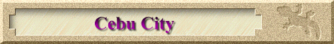 Cebu City