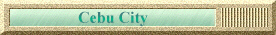 Cebu City